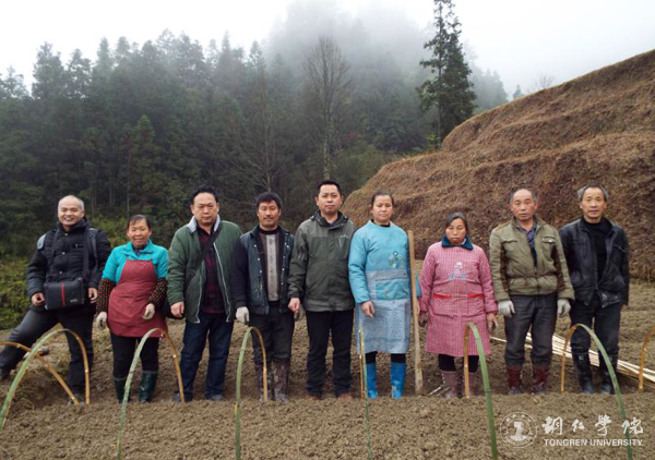 kaiyun官网高健强副教授研究成果“燕飞1号”土人参实现规模化生产