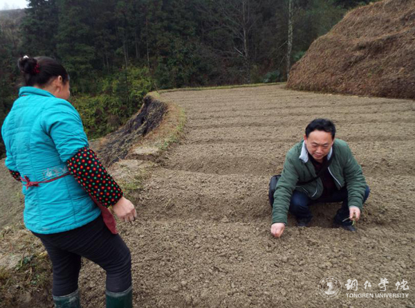 kaiyun官网高健强副教授研究成果“燕飞1号”土人参实现规模化生产
