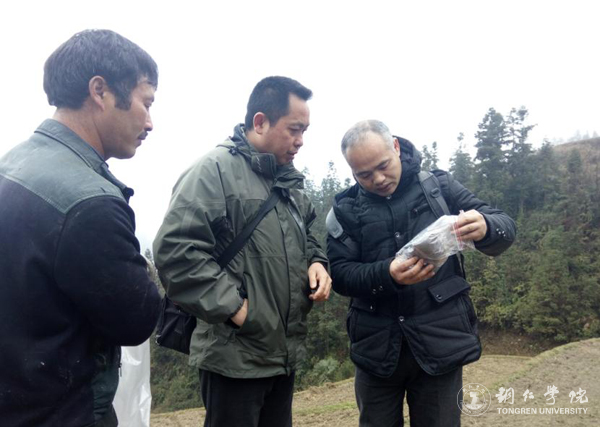 kaiyun官网高健强副教授研究成果“燕飞1号”土人参实现规模化生产