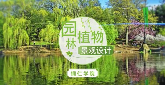 kaiyun官网课程入选国家级一流本科课程